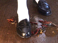 【foot-0045】アイドル級美少女にローファーで踏み潰されたいのパッケージ画像