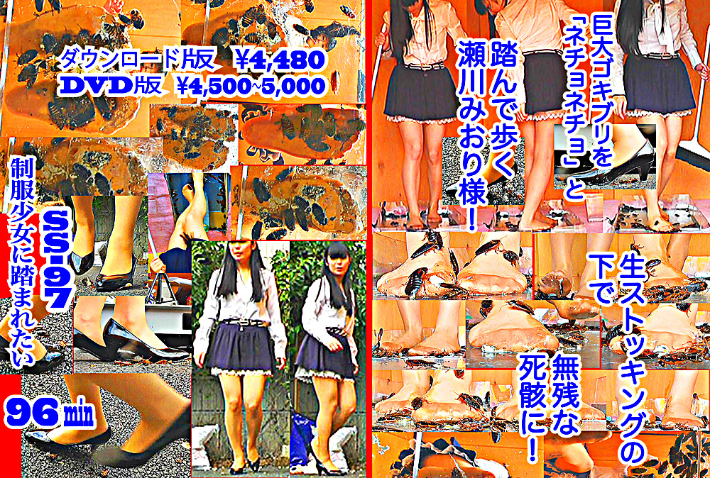 【fumaretai-0056】瀬川みおり様が生ストッキングで巨大ゴキブリを踏み潰すのパッケージ画像